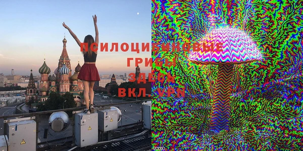 дживик Зеленокумск