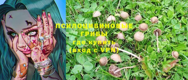 стаф Елабуга