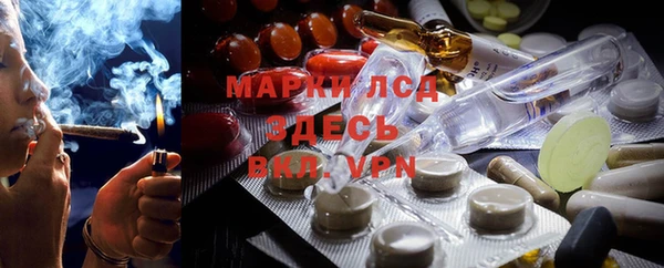 стаф Елабуга